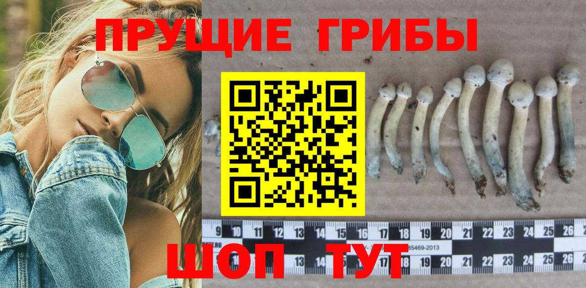 Псилоцибиновые грибы ЛСД Черкесск
