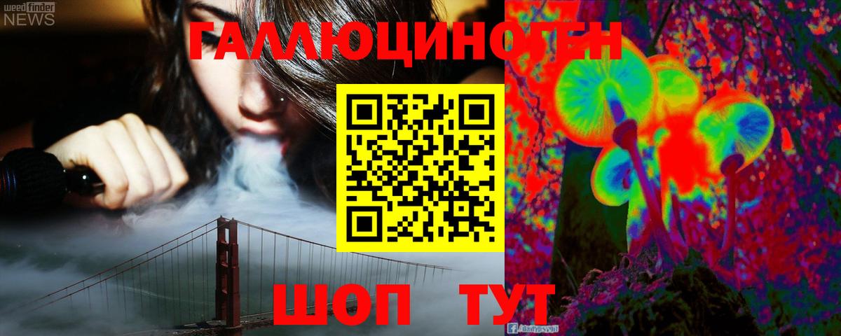 Черкесск  Галлюциногенные грибы GOLDEN TEACHER  Галлюциногенные грибы мухоморы  Вход с VPN 